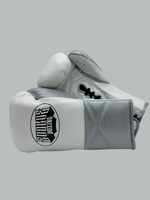 EVOLVE BOXING PREMIUM HH GLOVES